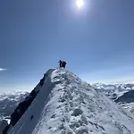 In-out 1650